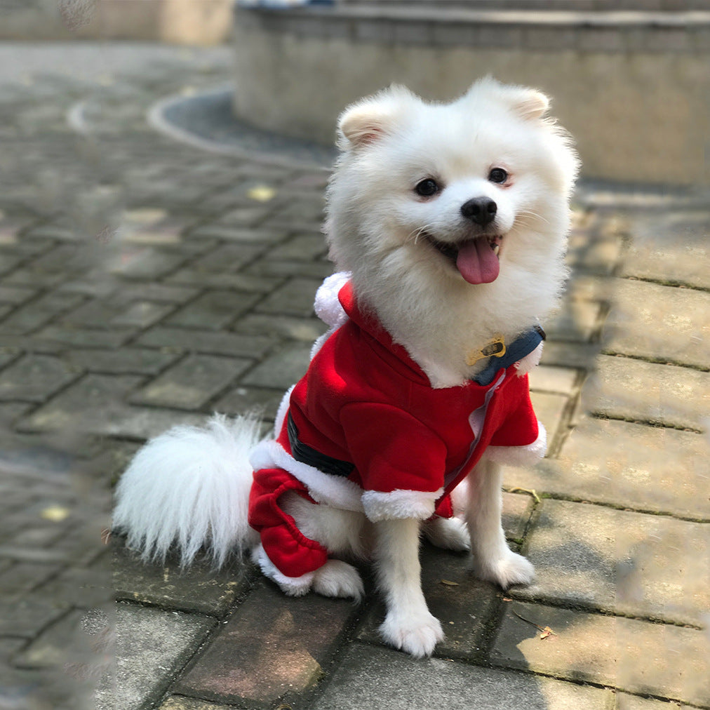 ¡Navidad y Calorcito! Ropita de Santa para Mascotas