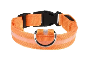 Brilla y Camina Seguro – Collar Luminoso Recargable