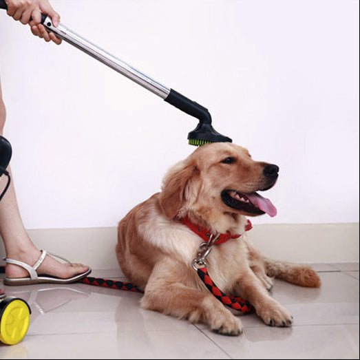 Cepilla y Limpia – Cepillo para Mascotas con Adaptador de Aspiradora