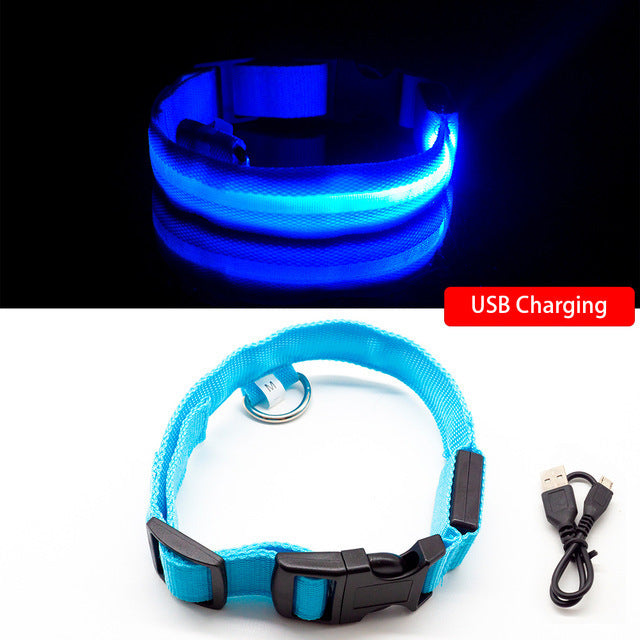 Brilla y Camina Seguro – Collar Luminoso Recargable