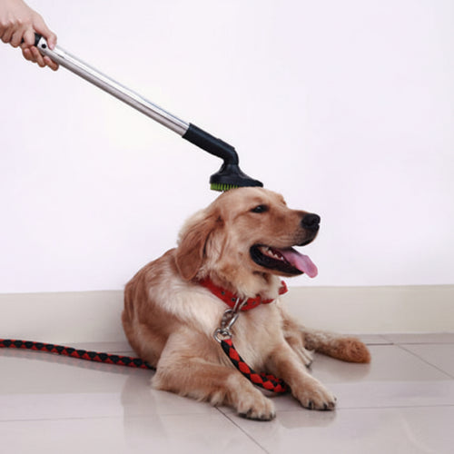 Cepillo para mascotas con adaptador para aspiradora con perro