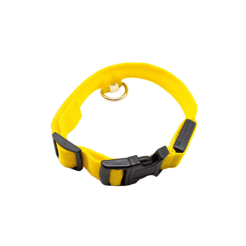 Collar LED recargable color amarillo