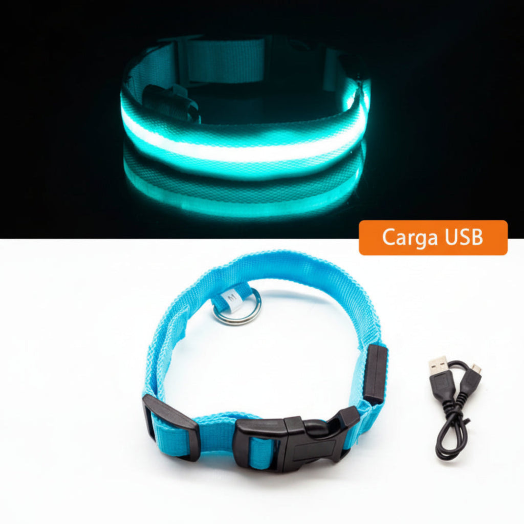 Collar LED recargable para paseo seguro