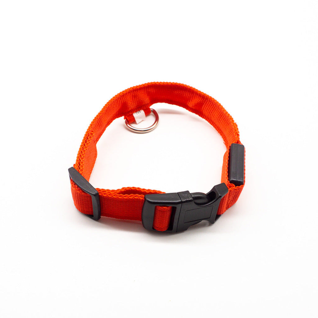 Collar LED recargable color rojo