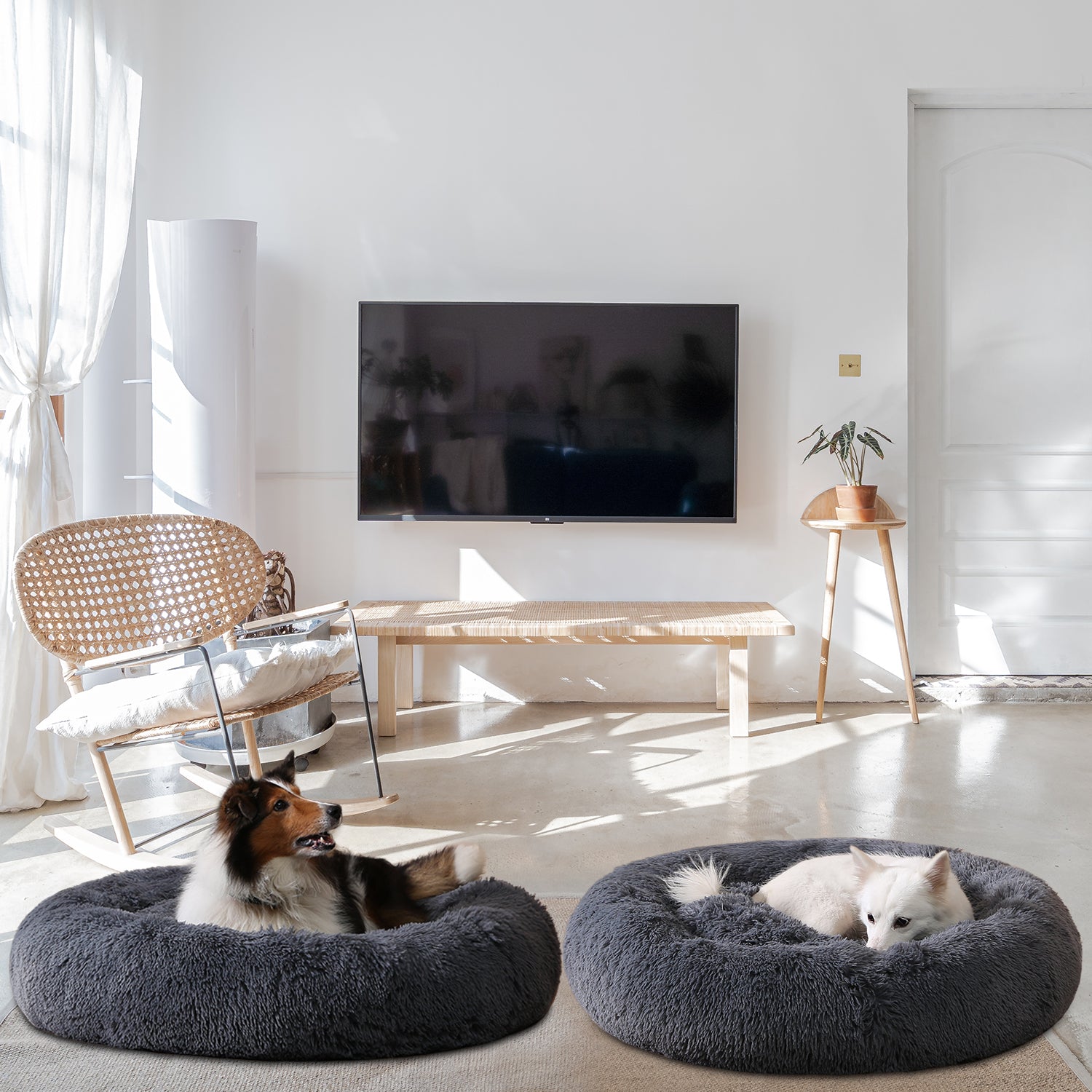 Camita Donut Suave – Cálida, Esponjosa y Súper Relajante